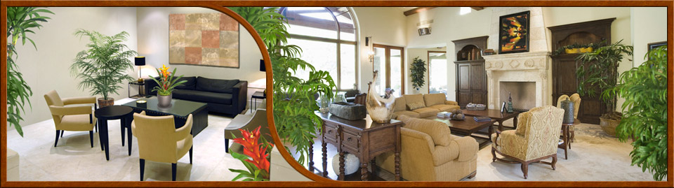 Tropical plant interior designs