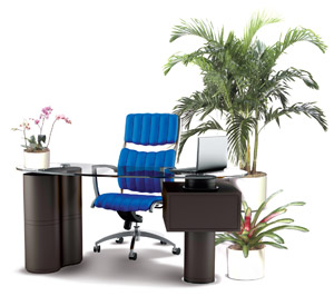 Office space transformed with indoor tropical plant design