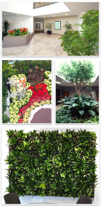 Interior Tropical Gardens plant rentals maintenance and sales examples
