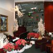 Full office winter holiday scene by Interior Tropical Gardens